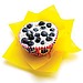 Blueberry Blast