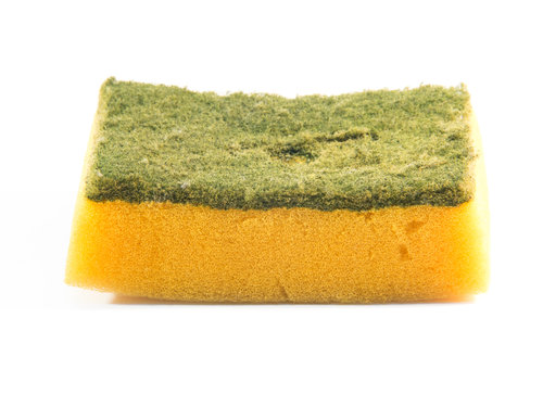 Sponges Sponges