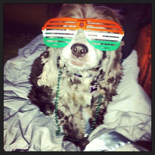 Holiday Shades Holiday Shades