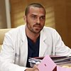 Grey's Anatomy Recap "Transplant Wasteland"
