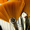 Best Fan Brush