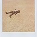 Band of Outsiders Spring 2013 Polaroids