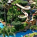 Westin Hotels