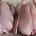 Fresh Meat