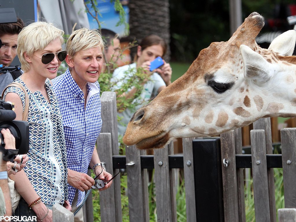 Ellen DeGeneres and Portia de Rossi met a giraffe at the Taronga Zoo in Australia during a March visit.
Ellen DeGeneres and Portia de Rossi met a giraffe at the Taronga Zoo in Australia during a March visit.