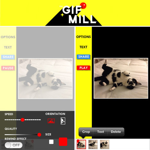 GIF-Making App