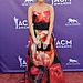 ACM Awards 2013