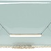 Aldo Meerut Patent Envelope Clutch