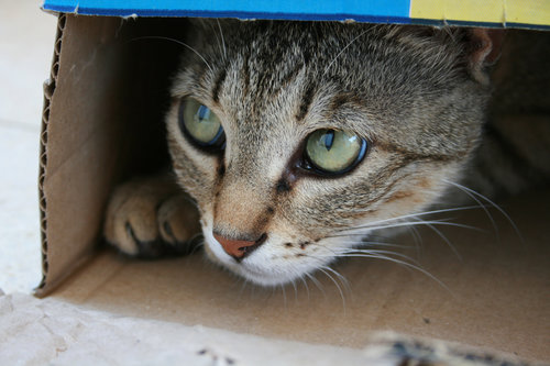 Hide and Seek Hide and Seek