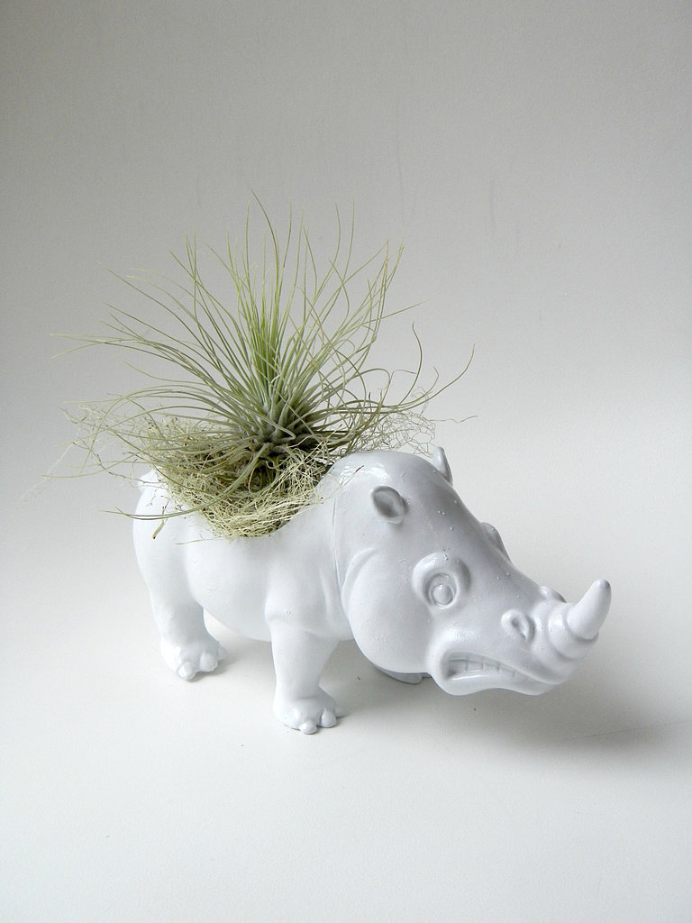 Rhino Planter Rhino Planter