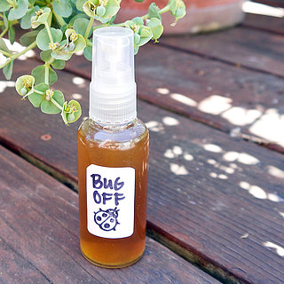 How to Make Natural Insect Repellant
