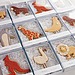 Animal Cookies