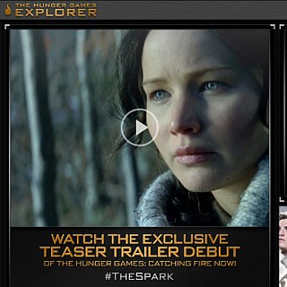 Hunger Games Internet Explorer