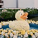 Quack, Quack