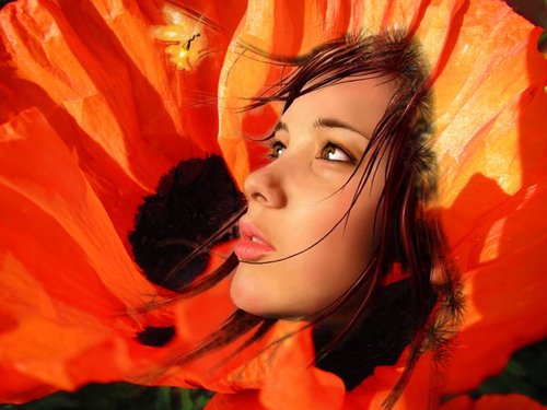 PoppyGirl & FireFly