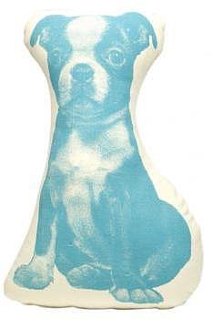 Home Décor for a Pet Lover!