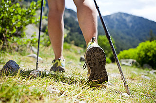 10 Bush Walking Safety Tips