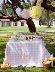 Lemonade Stand Party