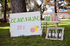 Lemonade Stand Party