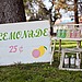 Lemonade Stand Party