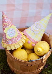 Lemonade Stand party