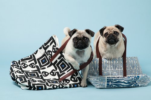 Gladys and Peggy with Suki Cheema's Blue Cotton Tattoo Tote, ($310) and Diamond Tile Cotton Tote ($355).
Photo courtesy of Avenue32.
Gladys and Peggy with Suki Cheema's Blue Cotton Tattoo Tote, ($310) and Diamond Tile Cotton Tote ($355).
Photo courtesy of Avenue32.