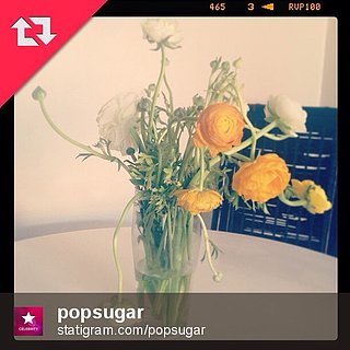 How to Repost on Instagram