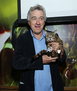 Lil Bub and Robert De Niro Picture