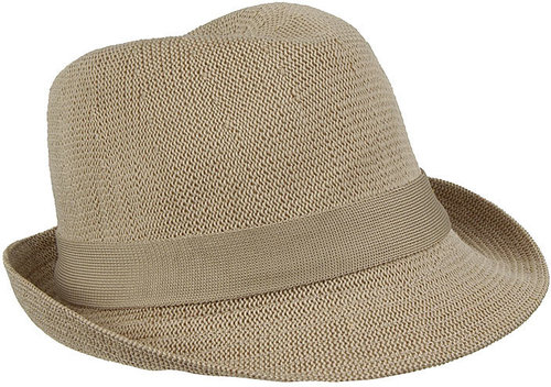 Carmen Sandiego