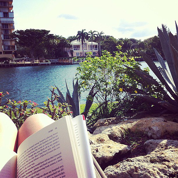 Mandicoyne soaked up the sun while she read.
Mandicoyne soaked up the sun while she read.