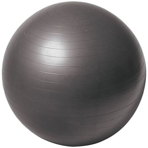 Everlast 25.6-in. burst-resistant fitness ball