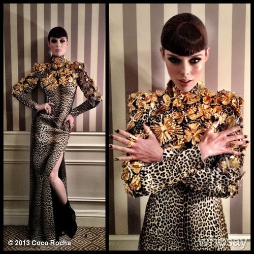 Coco Rocha struck an avant-garde pose in her Fausto Puglisi for Ungaro dress.
Source: Coco Rocha on WhoSay
Coco Rocha struck an avant-garde pose in her Fausto Puglisi for Ungaro dress.
Source: Coco Rocha on WhoSay
