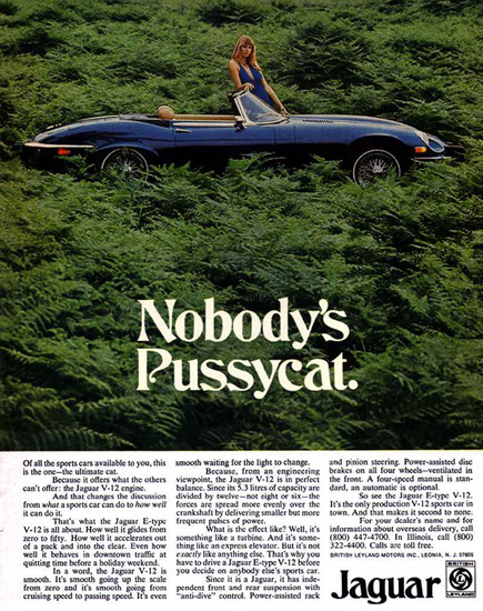"Nobody's Pussycat." The car or the woman?
"Nobody's Pussycat." The car or the woman?
