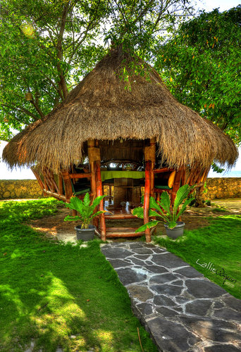 Tropical Hideaway Tropical Hideaway