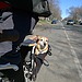 Wind Action