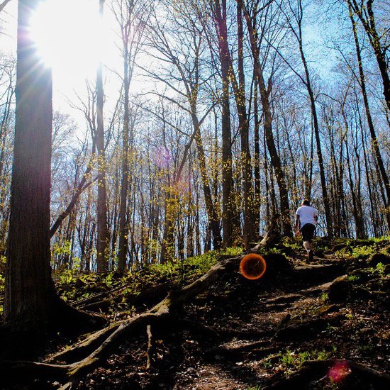 Go Hiking Go Hiking