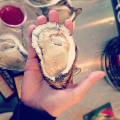 Shuck Your Own Oysters Shuck Your Own Oysters