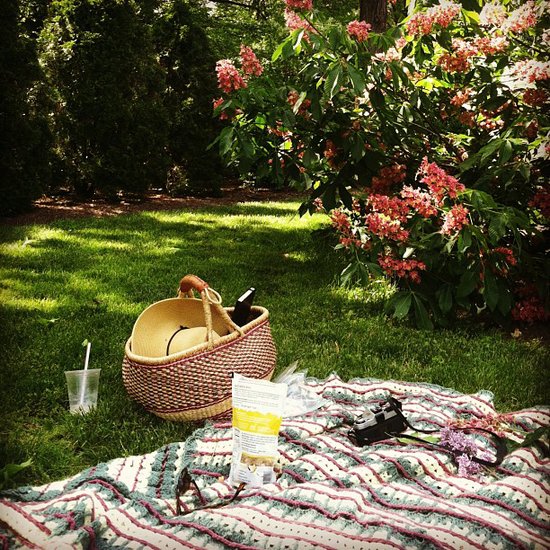 Plan a Picnic Plan a Picnic