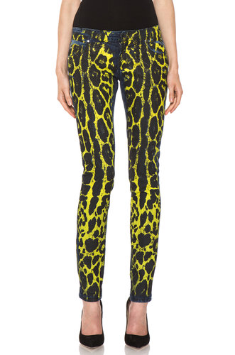 Bold Prints Bold Prints