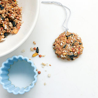 Homemade Wild Bird Treats