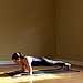 Dolphin Plank