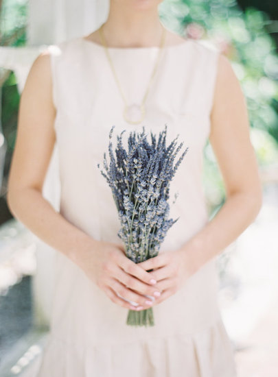 Lavender Lavender