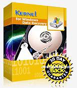 Windows Data Recovery Software