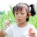 Bubbles
