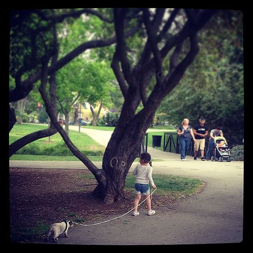 Leisurely Stroll Leisurely Stroll