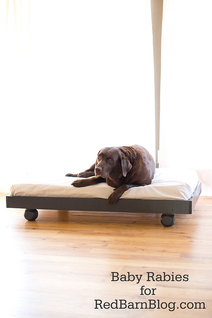 Upcycle Your Crib Mattress Into a DIY Dog Bed Upcycle Your Crib Mattress Into a DIY Dog Bed