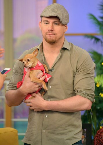 Channing Tatum cuddled a puppy while promoting White House Down during a TV appearance in Miami in June 2013.
Channing Tatum cuddled a puppy while promoting White House Down during a TV appearance in Miami in June 2013.