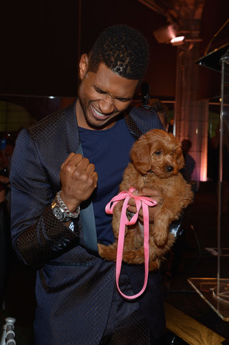 Usher looked happy to walk away from the Pencils of Promise Gala with a new best friend after winning a Goldendoodle puppy with a $12,000 bid in October 2012.
Usher looked happy to walk away from the Pencils of Promise Gala with a new best friend after winning a Goldendoodle puppy with a $12,000 bid in October 2012.