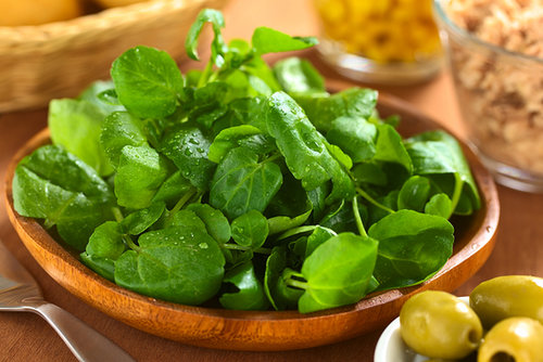 Salad Salad