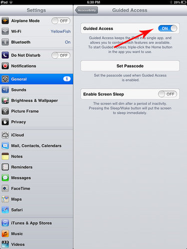 Put the iPad Into Single App Mode Put the iPad Into Single App Mode